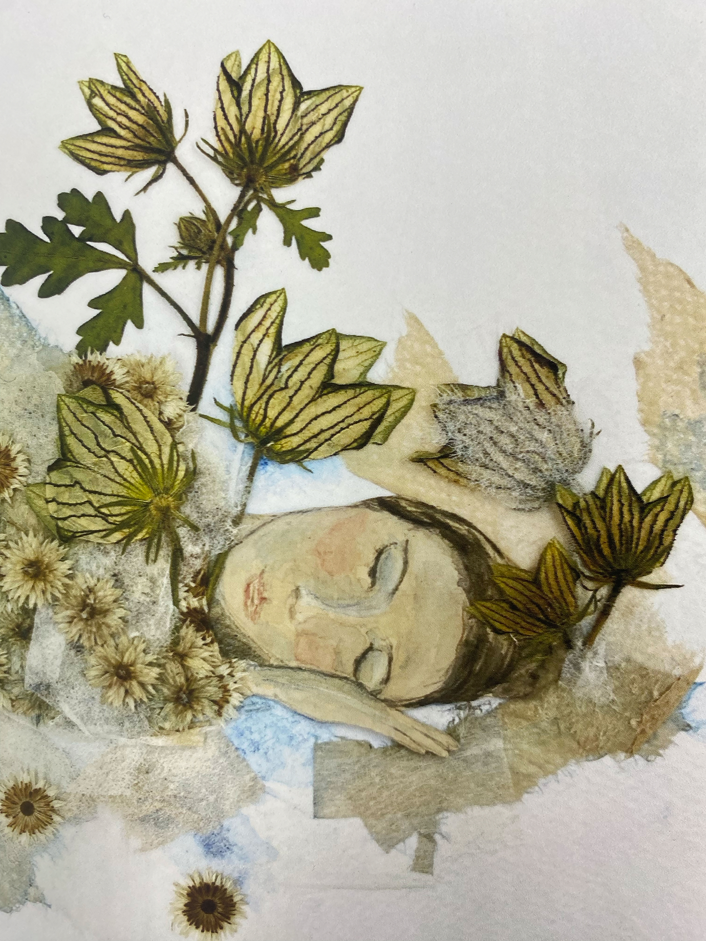 Fineart Print ,, Der Traum "