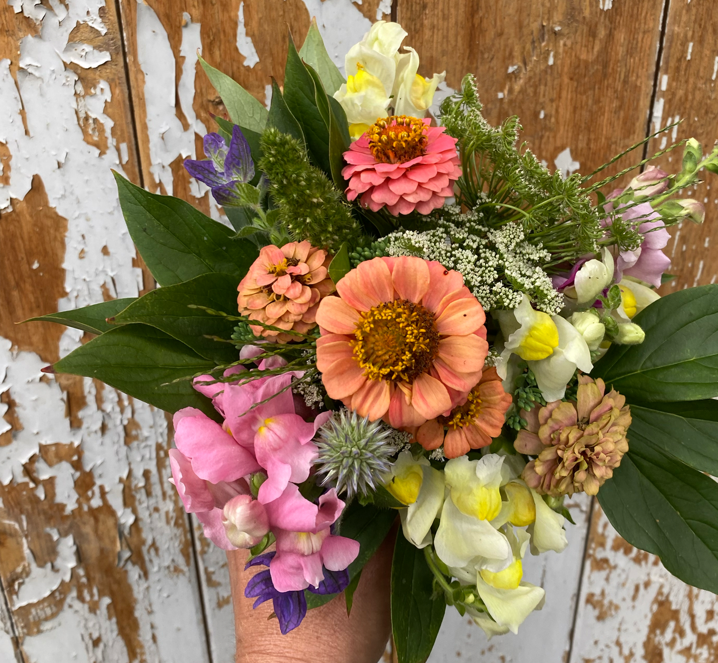 Großes Sommerblumen Abo