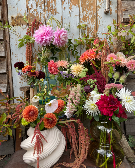 Kleines Herbst Abo