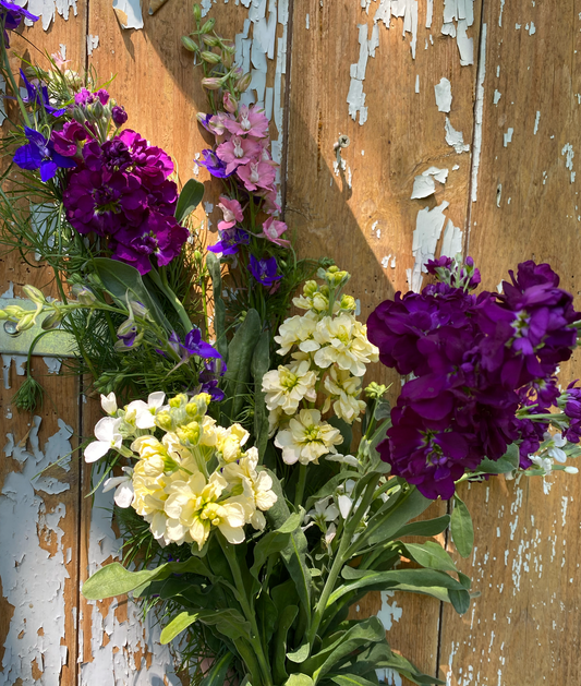 Großes Sommerblumen Abo