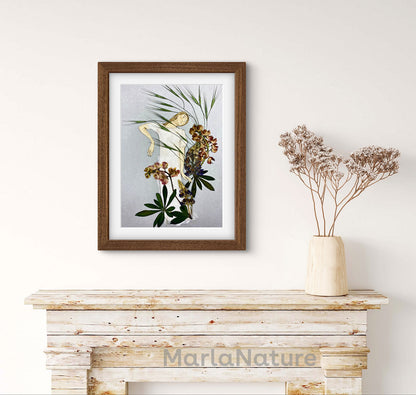 Print ,, Lupinientanz "