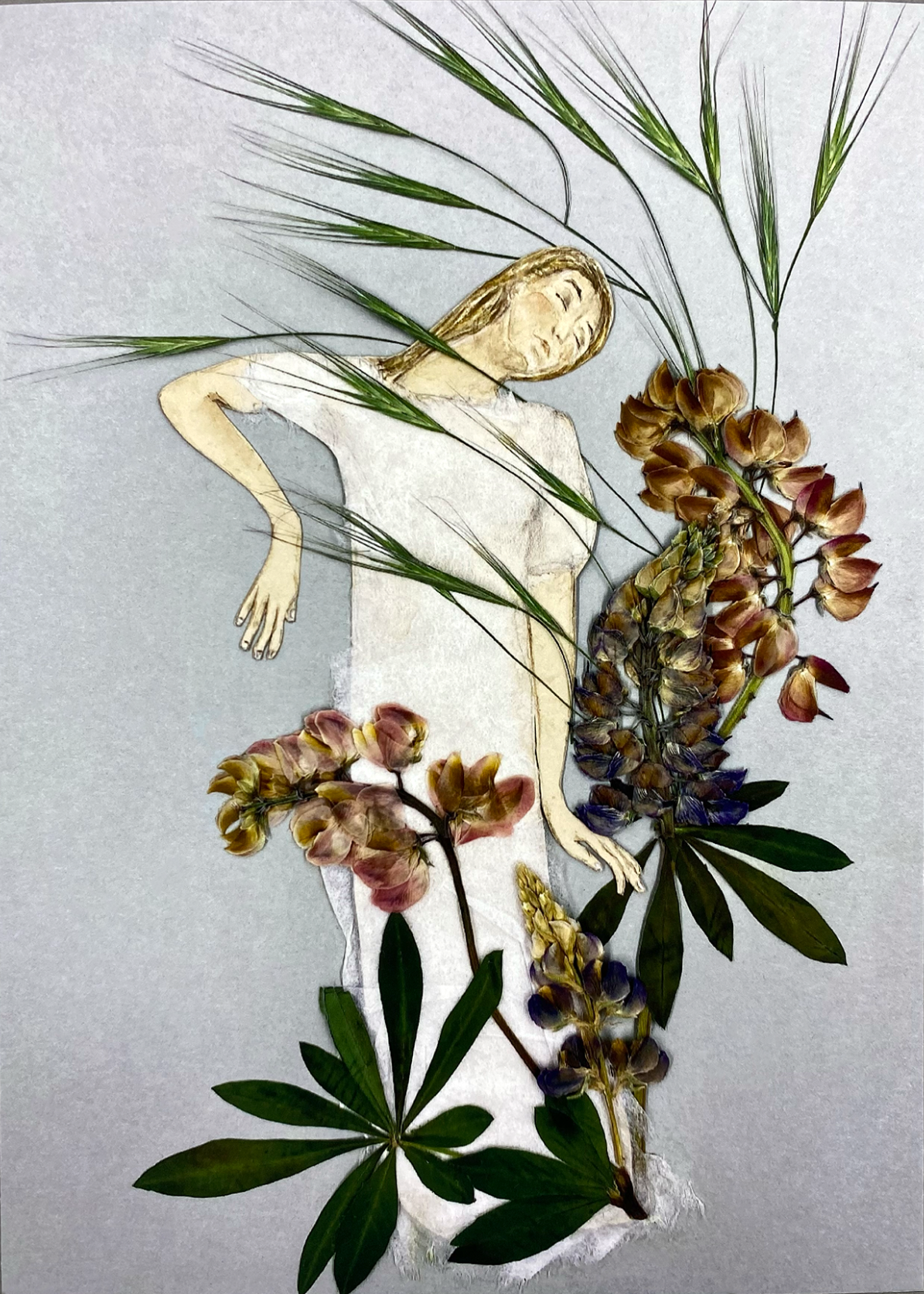 Print ,, Lupinientanz "