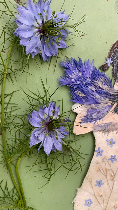 ,, Echte Begegnungen"